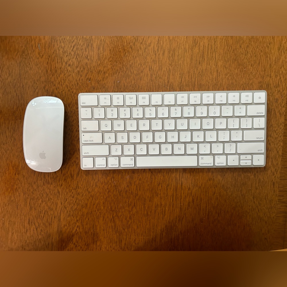 Apple Magic Mouse and Magic Keyboard